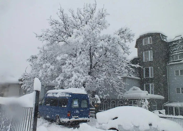 Hotel Chateau Vaptzarov 4*