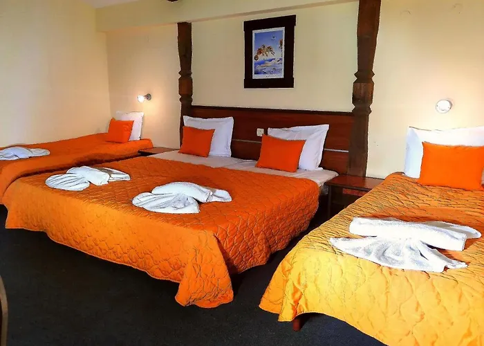 Hotel Chateau Vaptzarov 4*