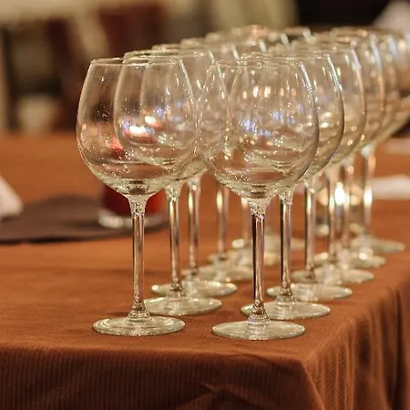 ホテル Chateau Vaptzarov バンスコ