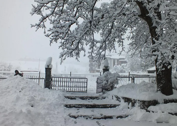 Chateau Vaptzarov Hotel 4*