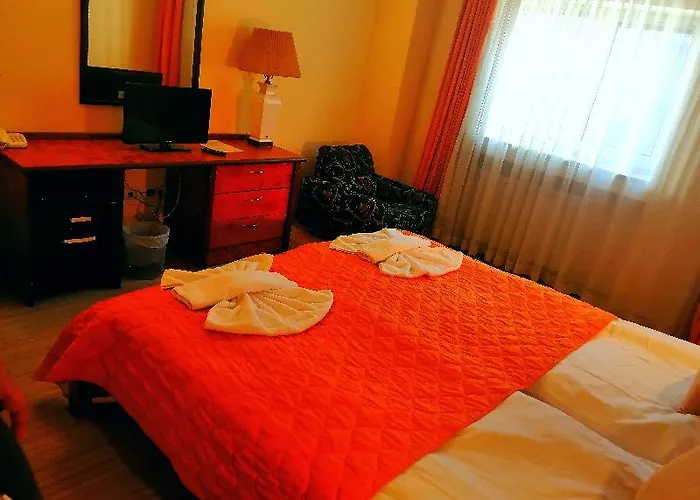 Hotel Chateau Vaptzarov 4*